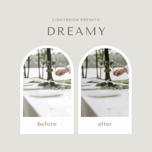 Dreamy Presets